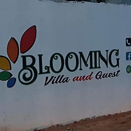 Blooming Villa & Guest Матара Экстерьер фото